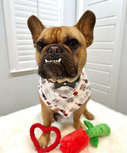 Load image into Gallery viewer, will you accept this rose dog bandana