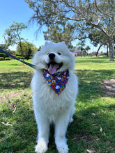 Load image into Gallery viewer, barkin' brunch dog bandana