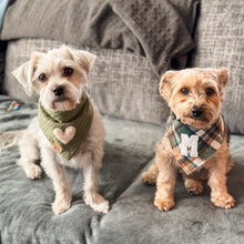 Load image into Gallery viewer, LAST CHANCE! the royce dog bandana