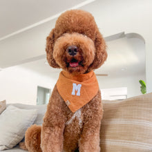 Load image into Gallery viewer, ginger herringbone letterman dog bandana