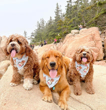 Load image into Gallery viewer, cup doodles (light blue) dog bandana