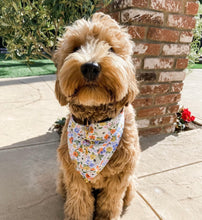 Load image into Gallery viewer, LAST CHANCE! easter poppy dog bandana (XS, S/M, L, XL only)