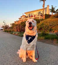 Load image into Gallery viewer, cobalt flannel letterman dog bandana