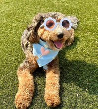 Load image into Gallery viewer, daisy blooms dog bandana