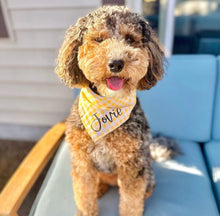 Load image into Gallery viewer, golden hour gingham bandana