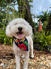 Load image into Gallery viewer, paradise pup dog bandana