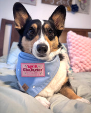 Load image into Gallery viewer, blue romance embroidered hearts dog bandana
