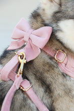 Load image into Gallery viewer, blush pink velvet bow