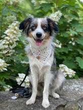 Load image into Gallery viewer, may flowers dog bandana