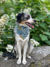 Load image into Gallery viewer, mulberry dog bandana
