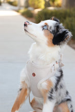 Load image into Gallery viewer, pearl grey velvet adjustable harness