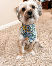 Load image into Gallery viewer, mulberry dog bandana