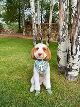 Load image into Gallery viewer, forest fog flannel dog bandana