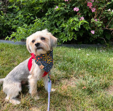 Load image into Gallery viewer, miss elliot dog bandana