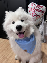 Load image into Gallery viewer, blue romance embroidered hearts dog bandana