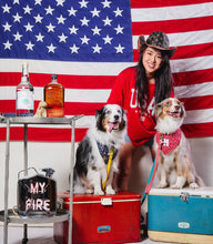 Load image into Gallery viewer, twinkling red letterman dog bandana