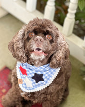 Load image into Gallery viewer, blueberry gingham letterman dog bandana