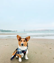 Load image into Gallery viewer, skyline flannel dog bandana
