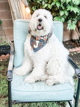 Load image into Gallery viewer, miss elliot dog bandana