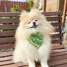 Load image into Gallery viewer, shamrock stout dog bandana