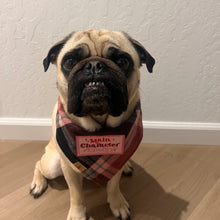 Load image into Gallery viewer, berry pop flannel dog bandana