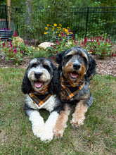 Load image into Gallery viewer, LAST CHANCE! fireside flannel dog bandana