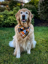 Load image into Gallery viewer, LAST CHANCE! fireside flannel dog bandana