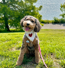 Load image into Gallery viewer, may flowers dog bandana
