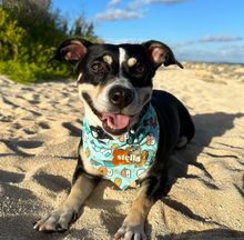 Load image into Gallery viewer, you're my soymate dog bandana