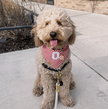 Load image into Gallery viewer, red gingham dog bandana