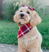 Load image into Gallery viewer, cinnamon spice flannel dog bandana