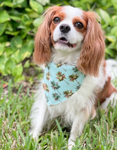 Load image into Gallery viewer, paradise palms dog bandana