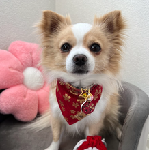 Load image into Gallery viewer, LNY blossoms dog bandana