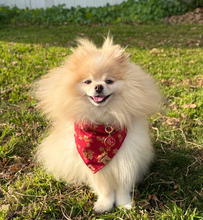 Load image into Gallery viewer, LNY blossoms dog bandana