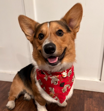Load image into Gallery viewer, LNY koi fish dog bandana