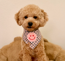 Load image into Gallery viewer, charmed blush flannel dog bandana