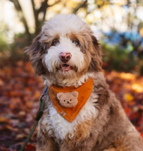 Load image into Gallery viewer, ginger herringbone dog bandana