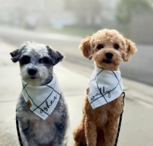 Load image into Gallery viewer, stay cozy dog bandana