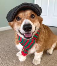 Load image into Gallery viewer, green and red knitted dog scarf