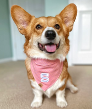 Load image into Gallery viewer, strawberry shortcake letterman dog bandana
