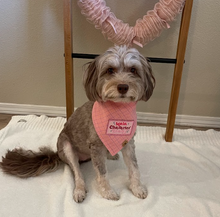 Load image into Gallery viewer, strawberry shortcake letterman dog bandana