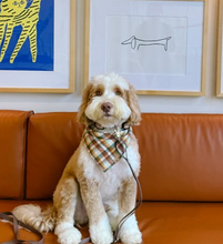 Load image into Gallery viewer, opalite flannel dog bandana