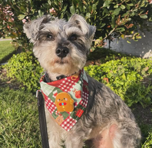 Load image into Gallery viewer, holiday patchwork dog bandana