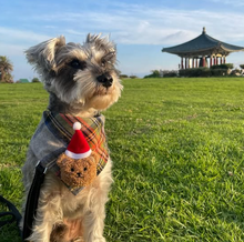 Load image into Gallery viewer, winter spruce flannel dog bandana