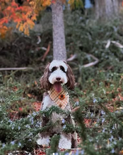Load image into Gallery viewer, chestnut gingham with turkey patch dog bandana