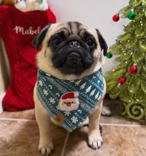 Load image into Gallery viewer, holly dog bandana
