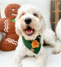 Load image into Gallery viewer, pine green flannel dog bandana