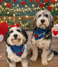 Load image into Gallery viewer, denim hearts personalized dog bandana