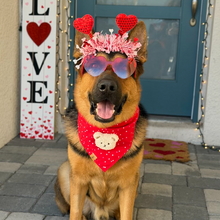 Load image into Gallery viewer, sweet tart dog bandana