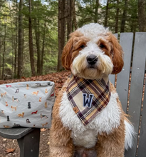 Load image into Gallery viewer, shaken expresso flannel dog bandana